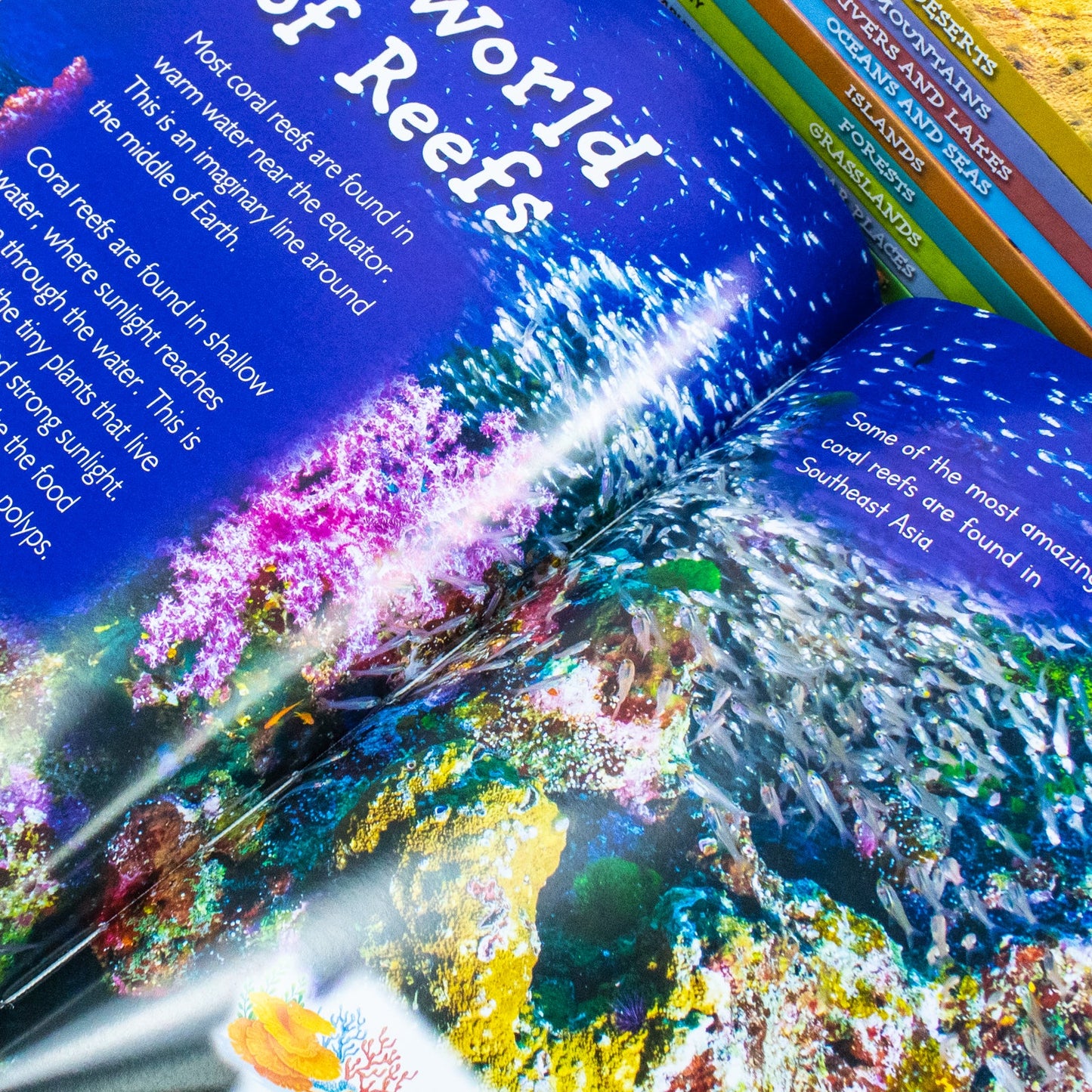 Childrens Introduction To Geography For Beginners 10 Hardback Book Collection Set:: (Coral Reefs, Deserts, Forests, Grasslands, Islands, Mountains, ... Polar Places, Rainforests, Rivers and Lakes)