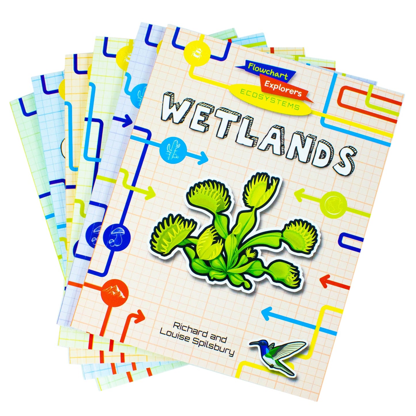 Flowchart Explorers Ecosystems STEM 6 Geography Science Books Set (Deserts, Grasslands, Mountains, Oceans, Rain Forests, Wetlands)