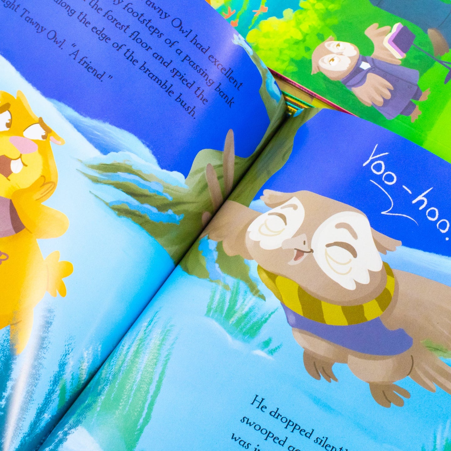 Tales From Redhill Wood 10 Book Set By Jessica Wren (A Summer Wedding,A Sleepy Winter,A Squirrel Adventure,A River Adventure And More)