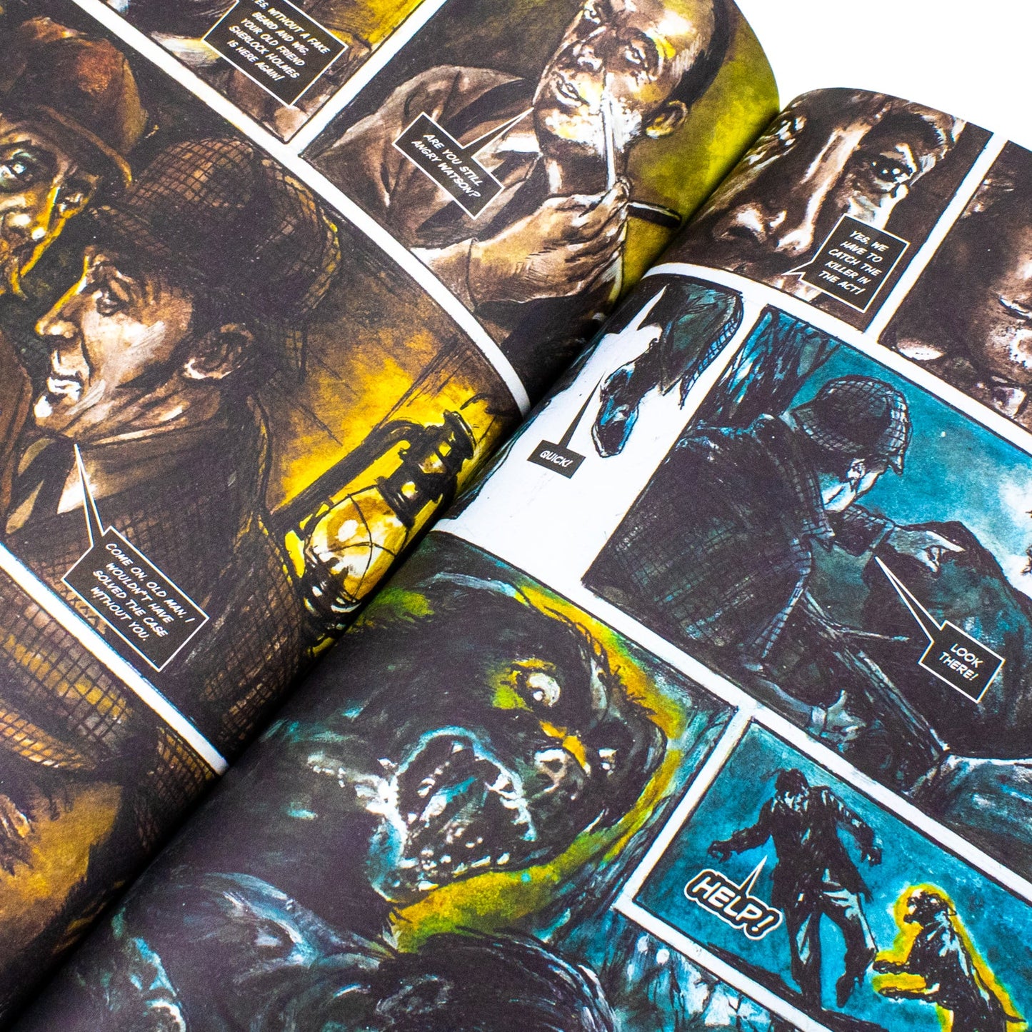 The Hound Of The Baskervilles The Graphic Novel